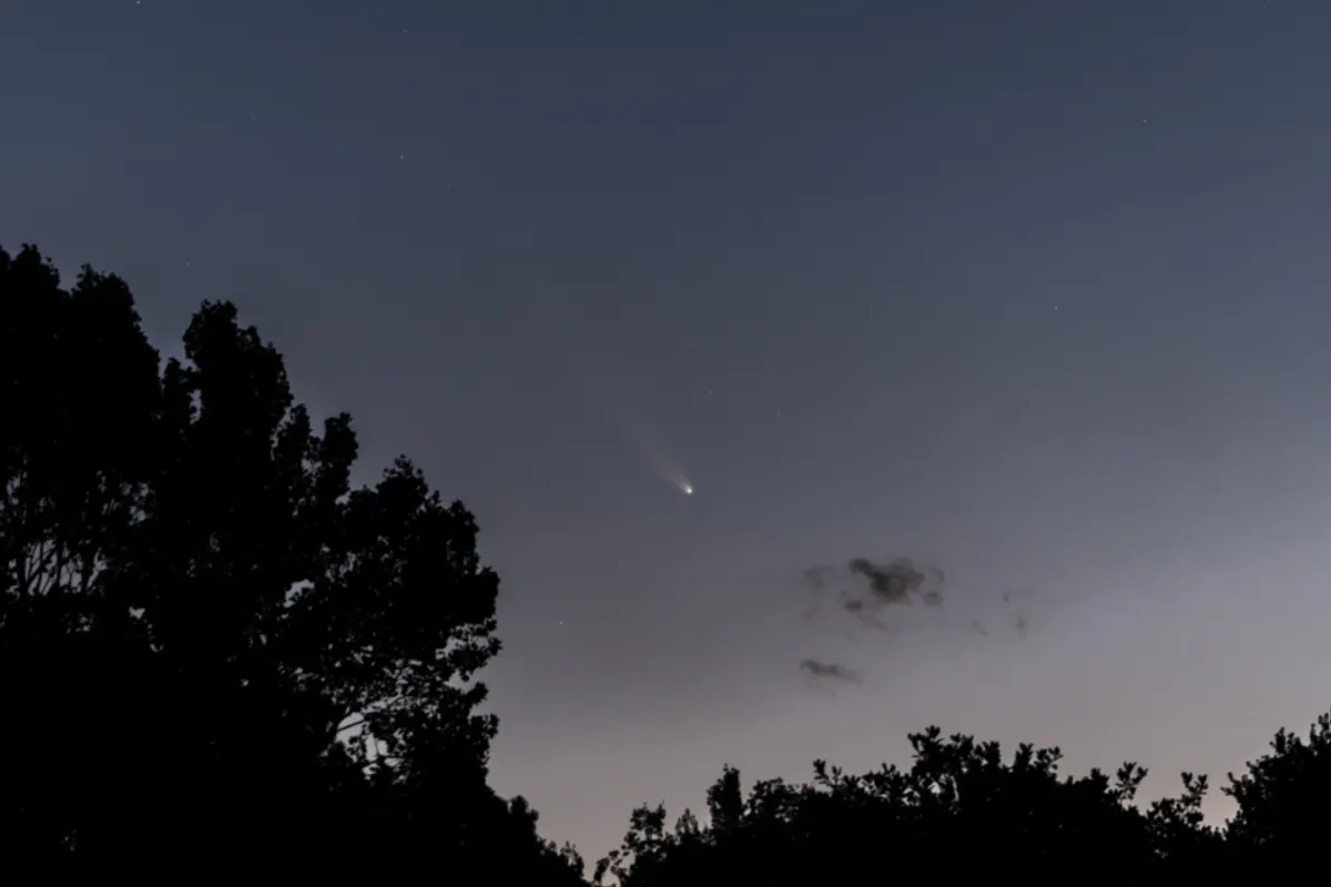 Night Starry